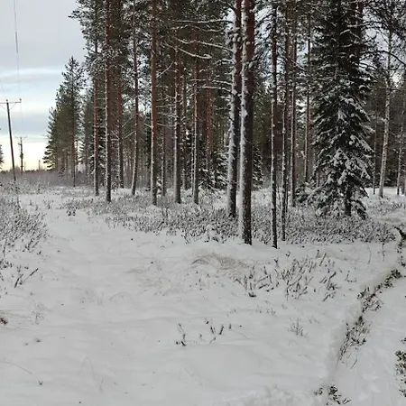 Arctic Forest Hide - Nature, Sauna & Silence