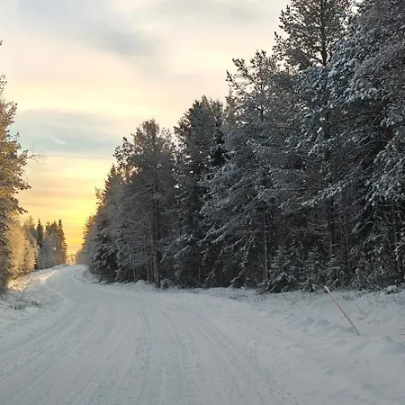 Arctic Forest Hide - Nature, Sauna & Silence בית נופש *