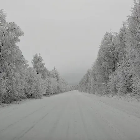 Arctic Forest Hide - Nature, Sauna & Silence * Rovaniemi