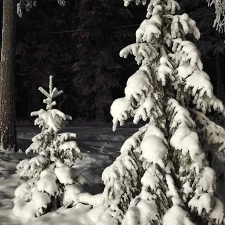 Arctic Forest Hide - Nature, Sauna & Silence * רובניימי