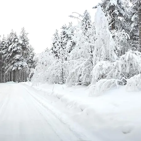 Casa vacanze Arctic Forest Hide - Nature, Sauna & Silence Rovaniemi