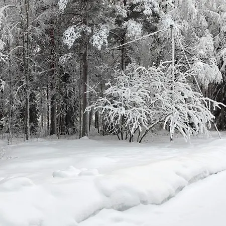 Ferienhaus Arctic Forest Hide - Nature, Sauna & Silence *