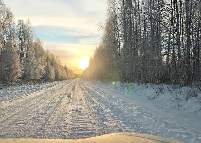 Casa vacanze Arctic Forest Hide - Nature, Sauna & Silence Rovaniemi