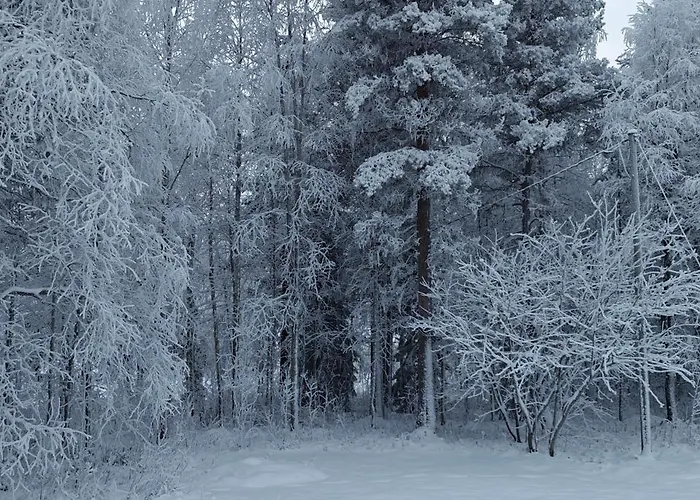 Arctic Forest Hide - Nature, Sauna & Silence Casa vacanze