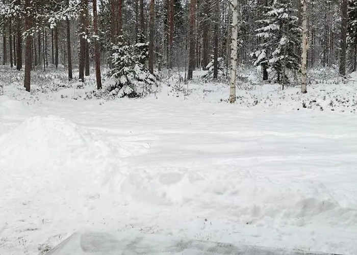 Arctic Forest Hide - Nature, Sauna & Silence Casa vacanze Rovaniemi
