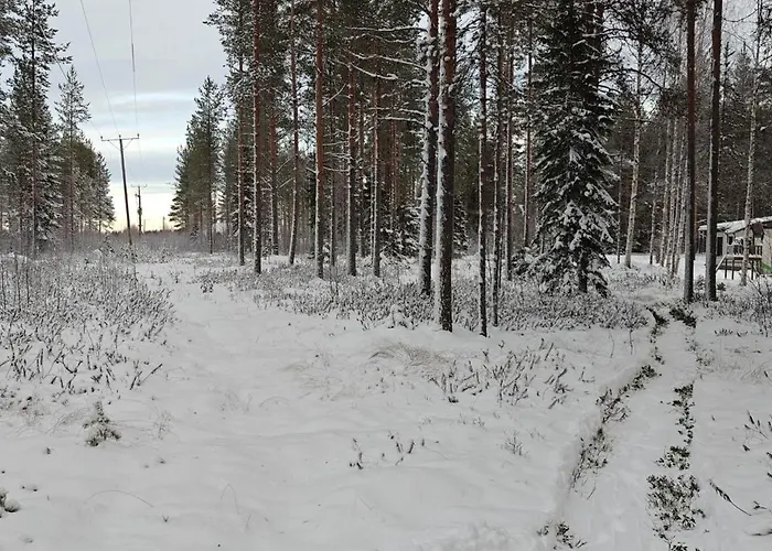 Arctic Forest Hide - Nature, Sauna & Silence