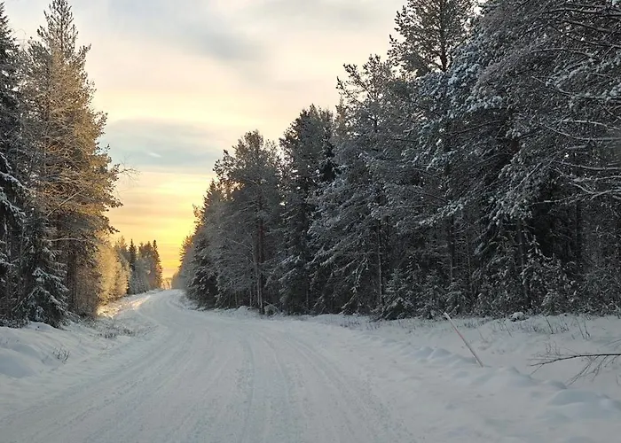 Arctic Forest Hide - Nature, Sauna & Silence Casa vacanze *