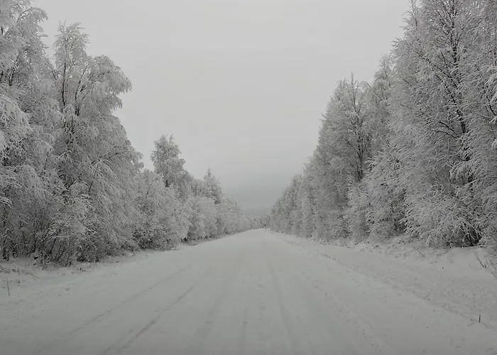 Arctic Forest Hide - Nature, Sauna & Silence * Rovaniemi