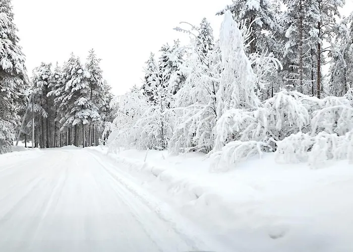 Casa vacanze Arctic Forest Hide - Nature, Sauna & Silence Rovaniemi