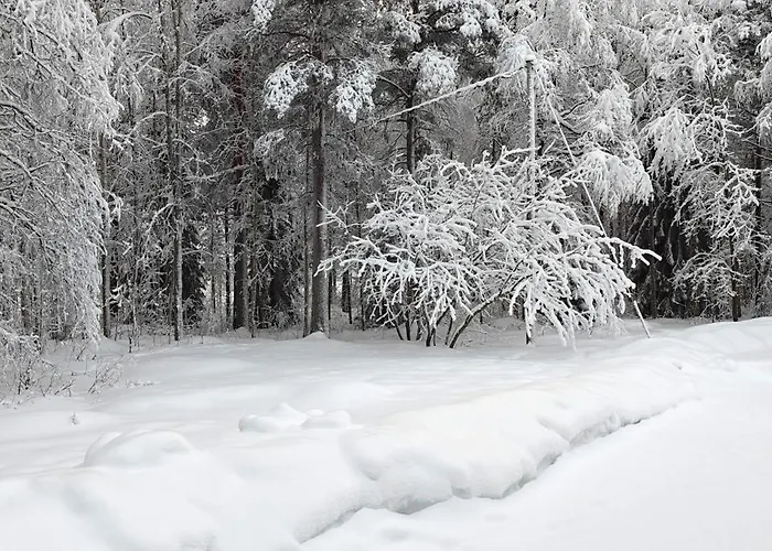 Casa vacanze Arctic Forest Hide - Nature, Sauna & Silence *